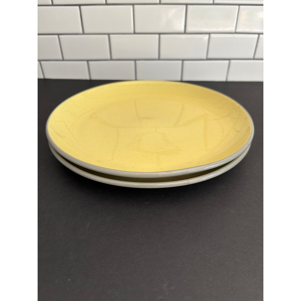 Homer Laughlin Vintage Stone China Yellow Dinner Plates Set of 2 USA 10 Inch